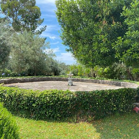 Casa Da Eira - Villas De Campo Ferreira do Zêzere Dış mekan fotoğraf